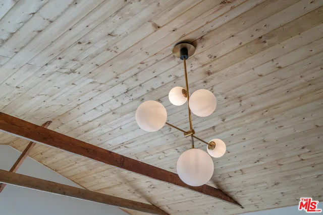 a view of backyard with potted plants and a large tree