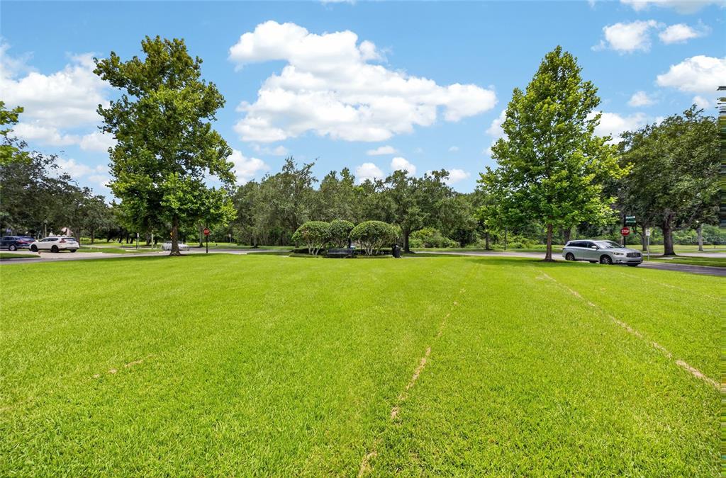 6587 Old Carriage Road Winter Garden, FL 34787 - Photo 41 of 85