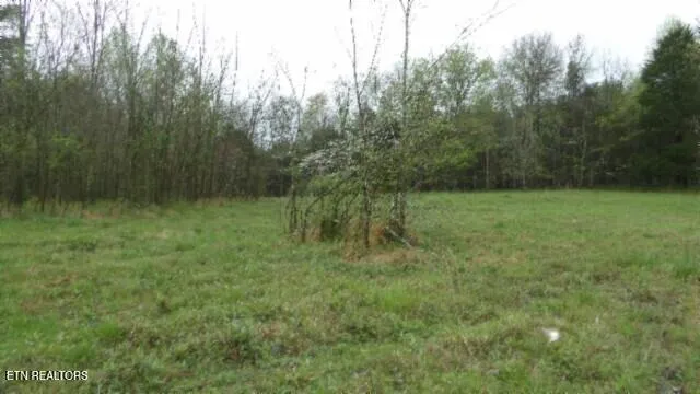 $119,000 | 20.27-ac Denton Road, Moss, TN 38575