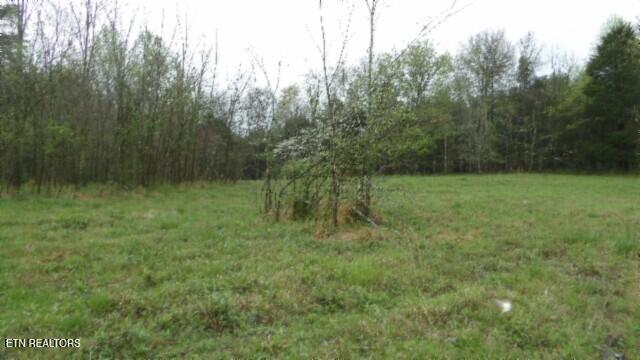 20.27-ac Denton Road Moss, TN 38575 - Photo 12 of 59 100_0019