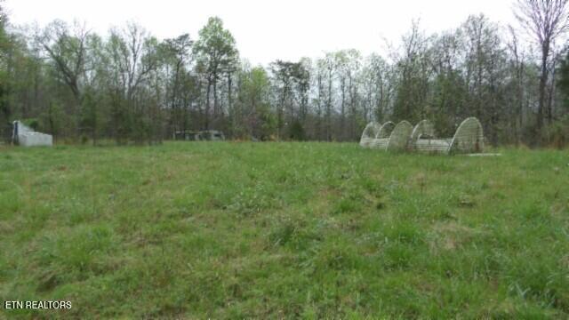 20.27-ac Denton Road Moss, TN 38575 - Photo 14 of 59 100_0021