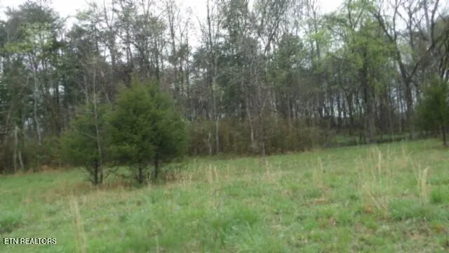 $119,000 | 20.27-ac Denton Road, Moss, TN 38575