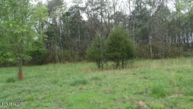 $119,000 | 20.27-ac Denton Road, Moss, TN 38575