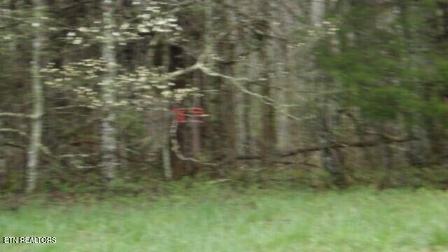 20.27-ac Denton Road Moss, TN 38575 - Photo 17 of 59 100_0024
