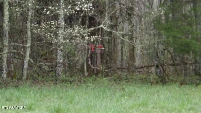 $119,000 | 20.27-ac Denton Road, Moss, TN 38575