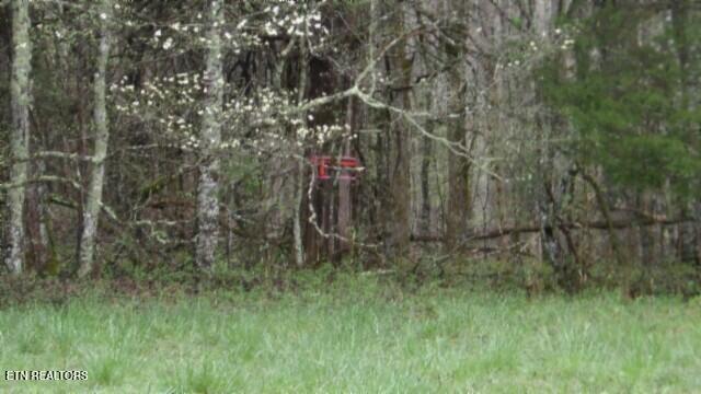 20.27-ac Denton Road Moss, TN 38575 - Photo 18 of 59 100_0025