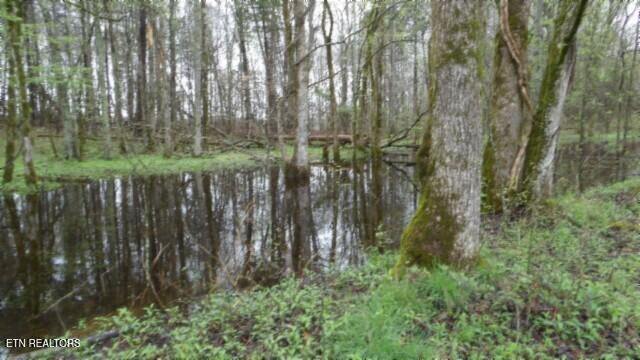 20.27-ac Denton Road Moss, TN 38575 - Photo 2 of 59 100_0007