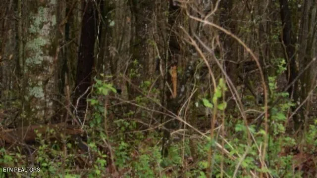 $119,000 | 20.27-ac Denton Road, Moss, TN 38575