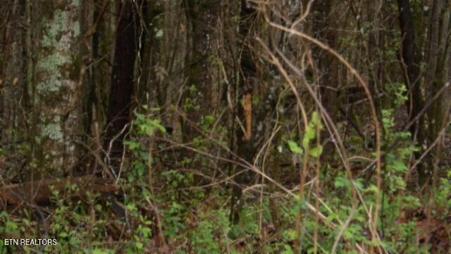 20.27-ac Denton Road Moss, TN 38575 - Photo 21 of 59 100_0028