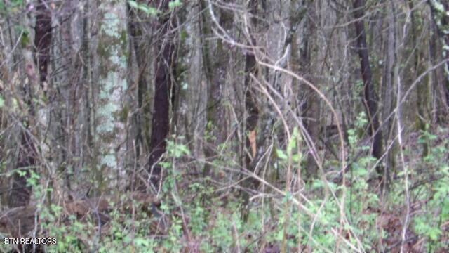 20.27-ac Denton Road Moss, TN 38575 - Photo 23 of 59 100_0030