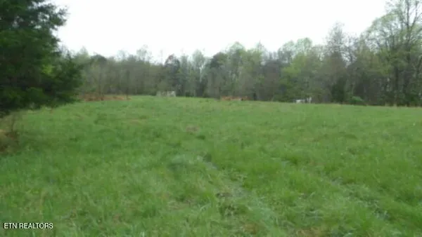 $119,000 | 20.27-ac Denton Road, Moss, TN 38575