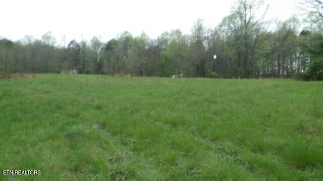 20.27-ac Denton Road Moss, TN 38575 - Photo 25 of 59 100_0033