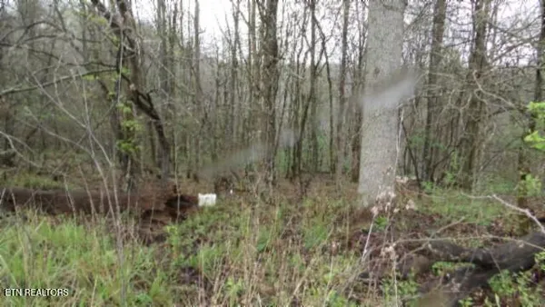 $119,000 | 20.27-ac Denton Road, Moss, TN 38575