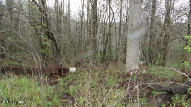 $119,000 | 20.27-ac Denton Road, Moss, TN 38575