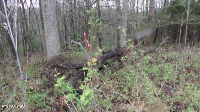 20.27-ac Denton Road Moss, TN 38575 - Photo 28 of 59 100_0036