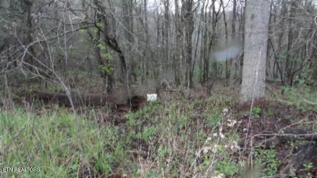 $119,000 | 20.27-ac Denton Road, Moss, TN 38575