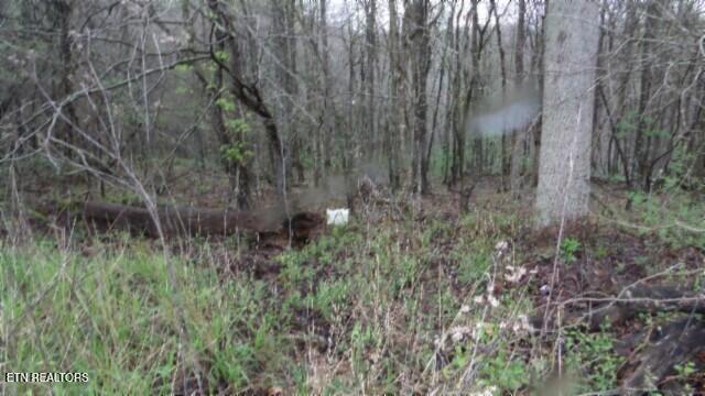 20.27-ac Denton Road Moss, TN 38575 - Photo 29 of 59 100_0037