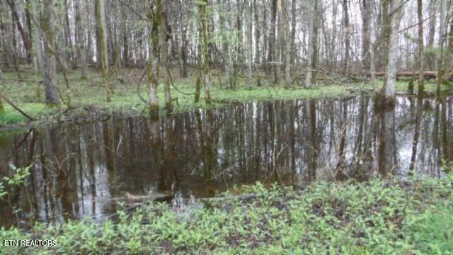 20.27-ac Denton Road Moss, TN 38575 - Photo 3 of 59 100_0008