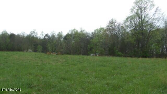 20.27-ac Denton Road Moss, TN 38575 - Photo 32 of 59 100_0040