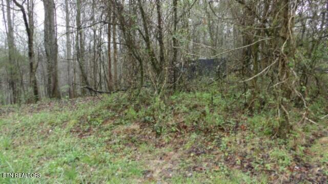 20.27-ac Denton Road Moss, TN 38575 - Photo 35 of 59 100_0043