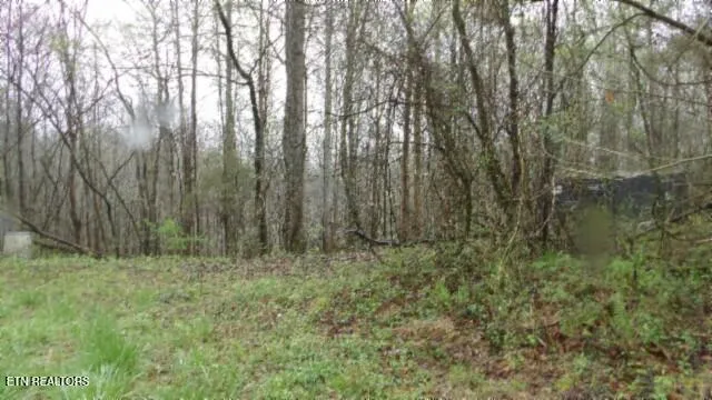 $119,000 | 20.27-ac Denton Road, Moss, TN 38575