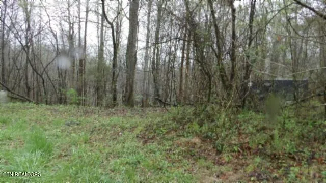 $119,000 | 20.27-ac Denton Road, Moss, TN 38575