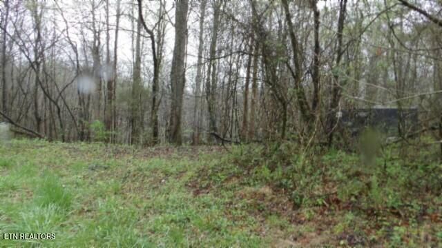 20.27-ac Denton Road Moss, TN 38575 - Photo 37 of 59 100_0045