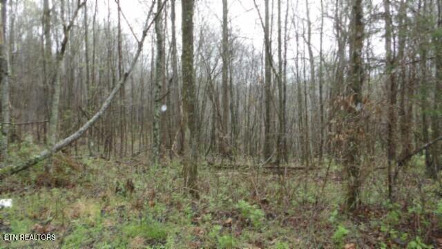 20.27-ac Denton Road Moss, TN 38575 - Photo 38 of 59 100_0046