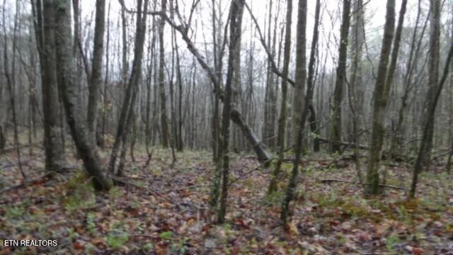 $119,000 | 20.27-ac Denton Road, Moss, TN 38575