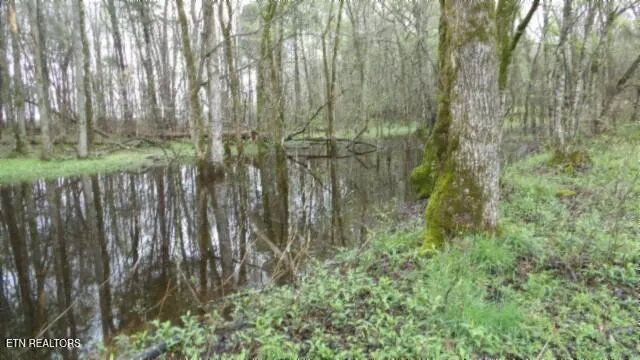 $119,000 | 20.27-ac Denton Road, Moss, TN 38575