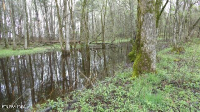 20.27-ac Denton Road Moss, TN 38575 - Photo 4 of 59 100_0009