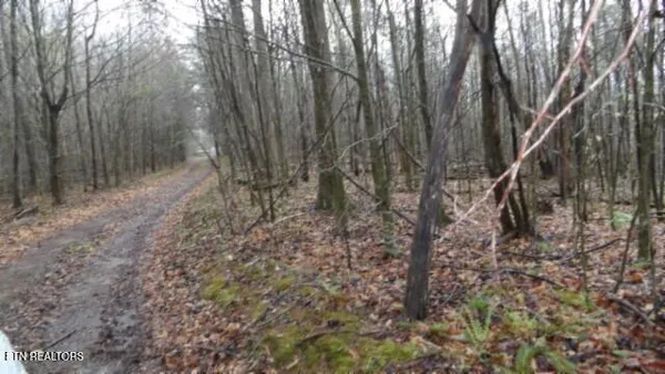 $119,000 | 20.27-ac Denton Road, Moss, TN 38575