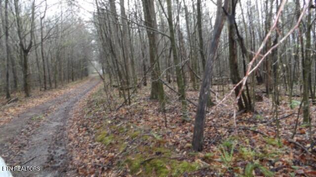 20.27-ac Denton Road Moss, TN 38575 - Photo 42 of 59 100_0050