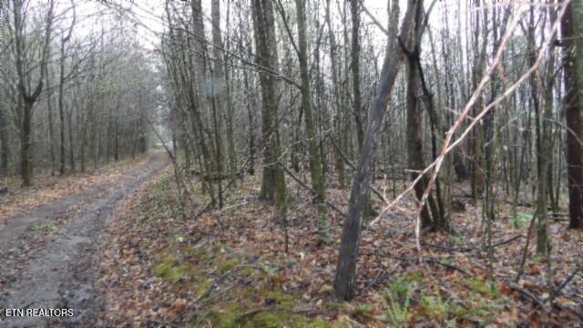 20.27-ac Denton Road Moss, TN 38575 - Photo 43 of 59 100_0051