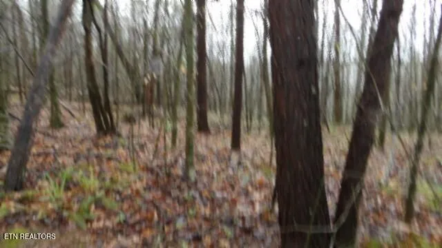 $119,000 | 20.27-ac Denton Road, Moss, TN 38575