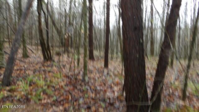 20.27-ac Denton Road Moss, TN 38575 - Photo 44 of 59 100_0052