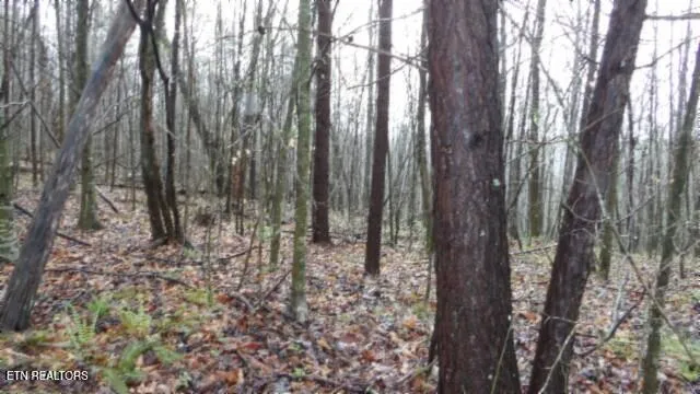 $119,000 | 20.27-ac Denton Road, Moss, TN 38575