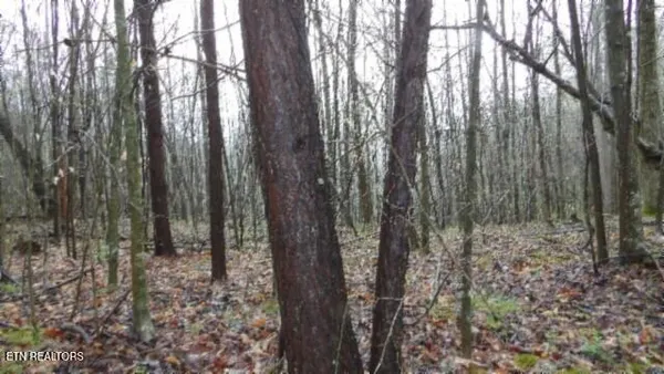 $119,000 | 20.27-ac Denton Road, Moss, TN 38575