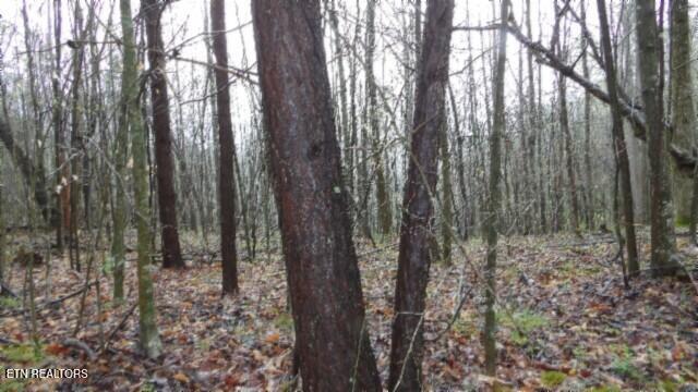 20.27-ac Denton Road Moss, TN 38575 - Photo 46 of 59 100_0054