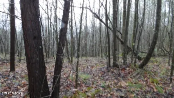 $119,000 | 20.27-ac Denton Road, Moss, TN 38575