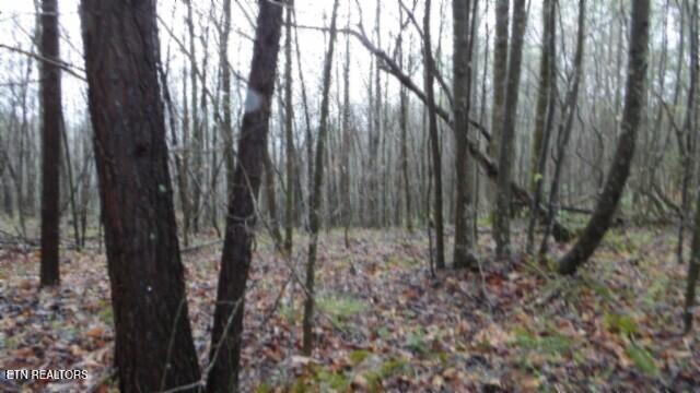 20.27-ac Denton Road Moss, TN 38575 - Photo 47 of 59 100_0056