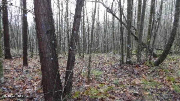 $119,000 | 20.27-ac Denton Road, Moss, TN 38575