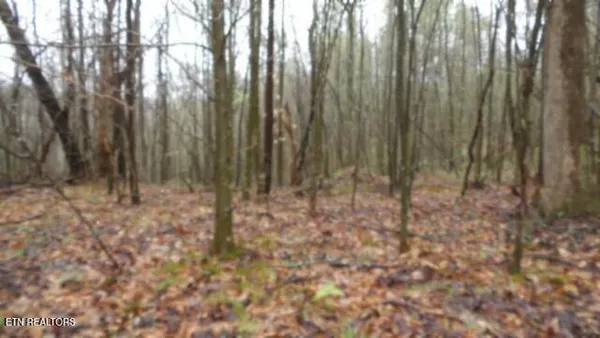 $119,000 | 20.27-ac Denton Road, Moss, TN 38575