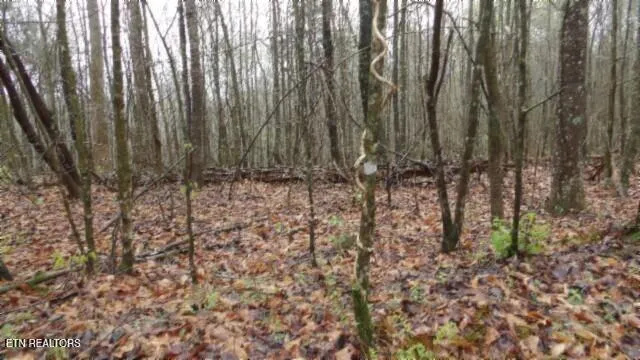 $119,000 | 20.27-ac Denton Road, Moss, TN 38575