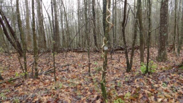 20.27-ac Denton Road Moss, TN 38575 - Photo 50 of 59 100_0059