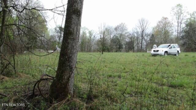 20.27-ac Denton Road Moss, TN 38575 - Photo 5 of 59 100_0011