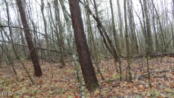 $119,000 | 20.27-ac Denton Road, Moss, TN 38575