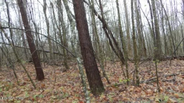 $119,000 | 20.27-ac Denton Road, Moss, TN 38575