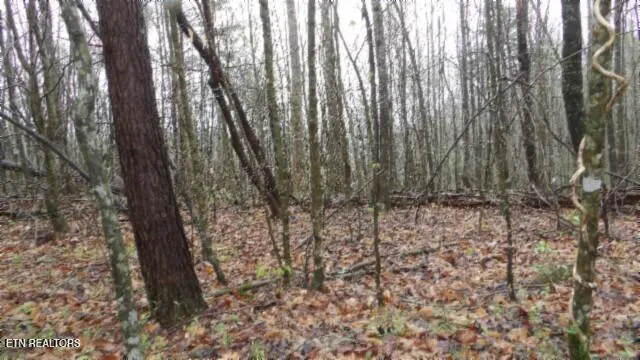$119,000 | 20.27-ac Denton Road, Moss, TN 38575