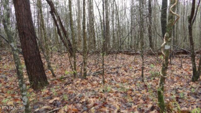 20.27-ac Denton Road Moss, TN 38575 - Photo 53 of 59 100_0062